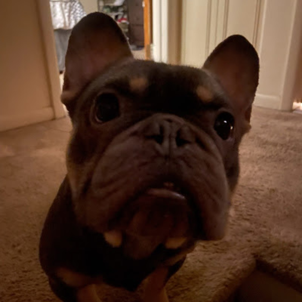 Meet your Posher, Adrian